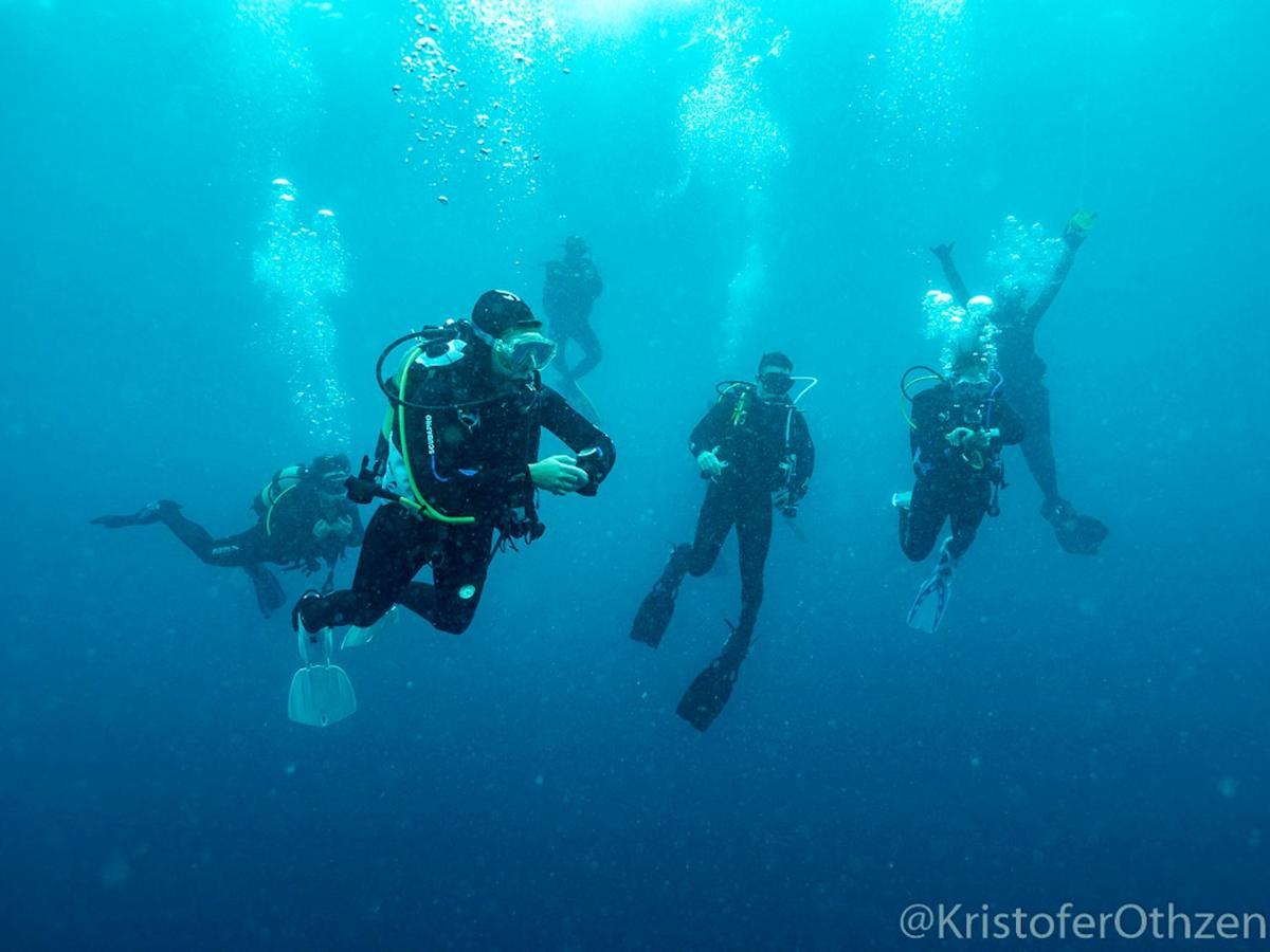 Bed and Breakfast Liquid Dive Adventures Praia do Praia do Tofo Exteriér fotografie