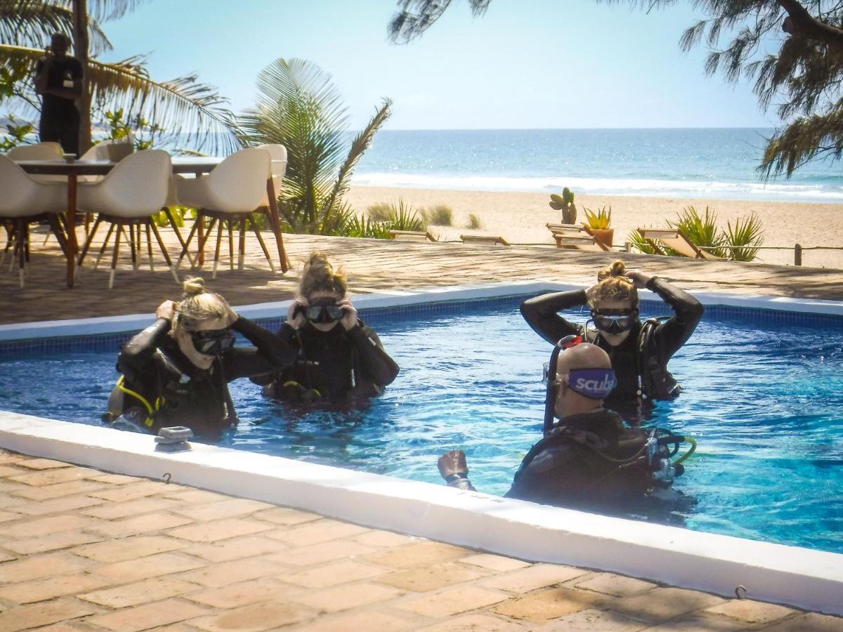 Bed and Breakfast Liquid Dive Adventures Praia do Praia do Tofo Exteriér fotografie
