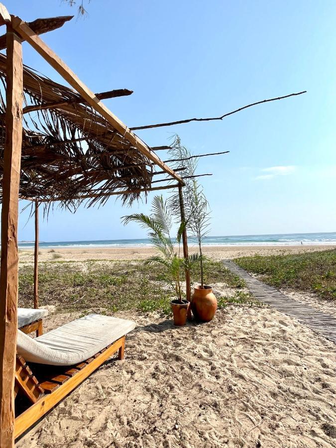 Bed and Breakfast Liquid Dive Adventures Praia do Praia do Tofo Exteriér fotografie